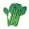 Κινέζικο Kale Chinese Kale